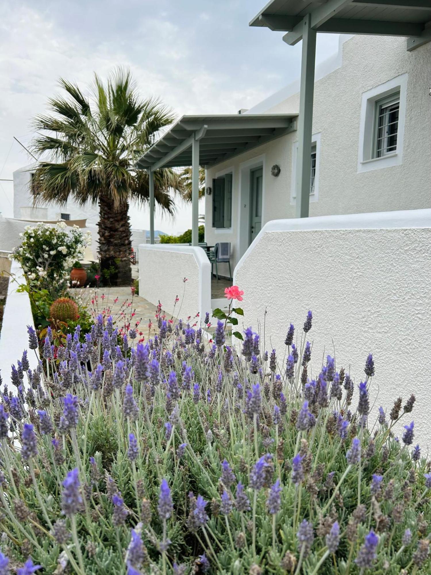 Chaido Studios Plaka  Exterior photo